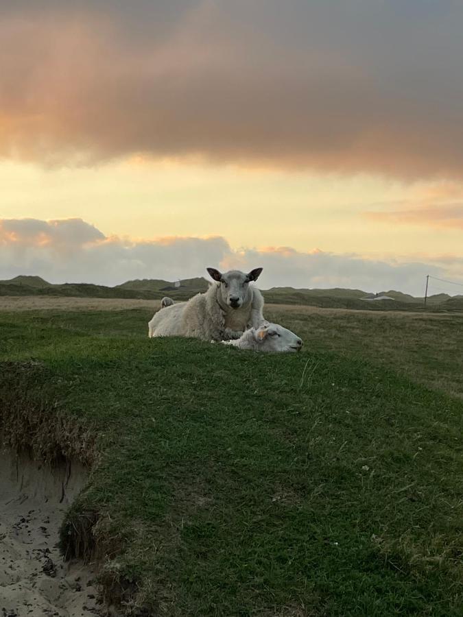 Fresh Hytte Ved Borestranden Med To Soverom Og Hems Klepp Kültér fotó